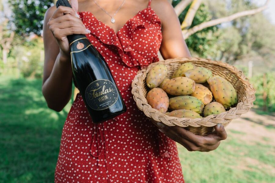 Olbia: Gallura Winery Guided Tour with Tasting - The vineyard walk and Gallura scenery