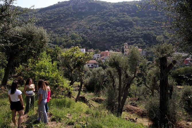Olive oil tasting in Sorrento - Practical details that affect your visit