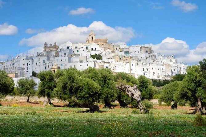 Ostuni, Alberobello and Polignano a Mare. Departing from Lecce - Is $145.91 a fair price?