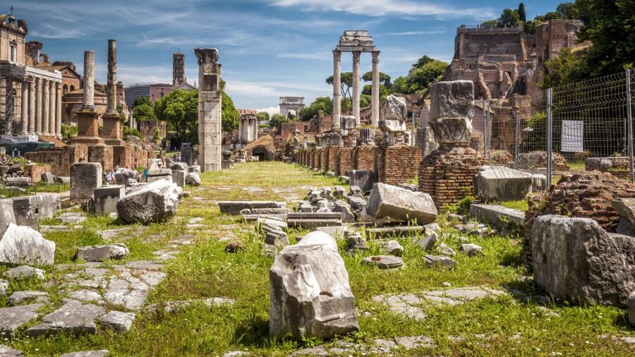 Palatine Hill and Roman Forum Tour with Fast-Track Entrance - The Senate House and Basilica of Maxentius