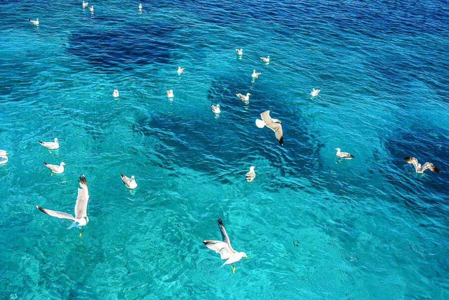 Palau: La Maddalena Archipelago and Caprera Island Boat Tour - Starting in La Maddalena town