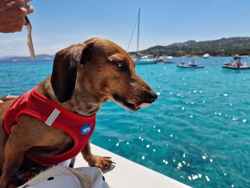 Palau: La Maddalena Archipelago Comfort Boat Tour with Stops - Santa Maria: your second proper beach stop