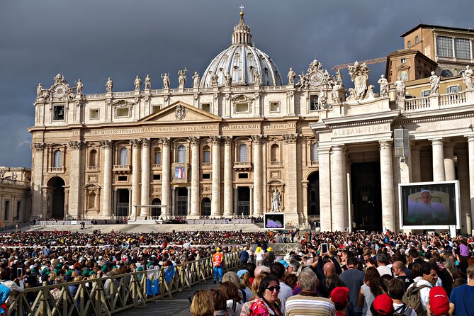 Papal Audience with Pope Leo XIV and Expert Local Guide - The Papal Audience itself
