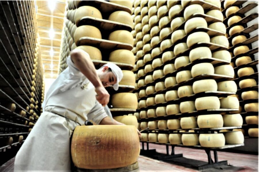 Parma: Parmigiano Production and Parma Ham Tour & Tasting - Inside the Prosciutto di Parma producer