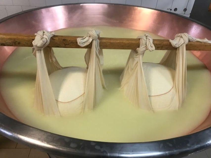 Parma: Parmigiano Production and Parma Ham Tour & Tasting - The tasting: cheese, ham, and local wine