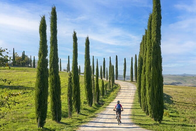 Pisa, Siena and San Gimignano Day Trip with Lunch & Wine Pairing - The coach ride is useful, but the day is long