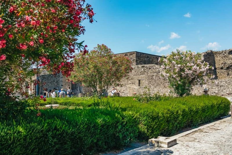 Pompeii: Archaeological Park Tour with Ticket on request - A focused first look at Pompeii