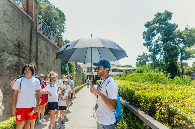 Pompeii: Archaeological Park Tour with Ticket on request - Amphitheater, theaters, and public life