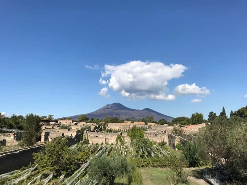 Pompeii: Exclusive Tour with Archaeologist and Entry Tickets - Entering through Porta Marina