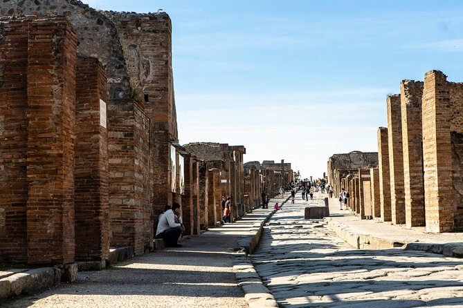 Pompeii & Mt.Vesuvius Day Tour from Naples with Pizza Lunch - Walking Pompeii with a guide