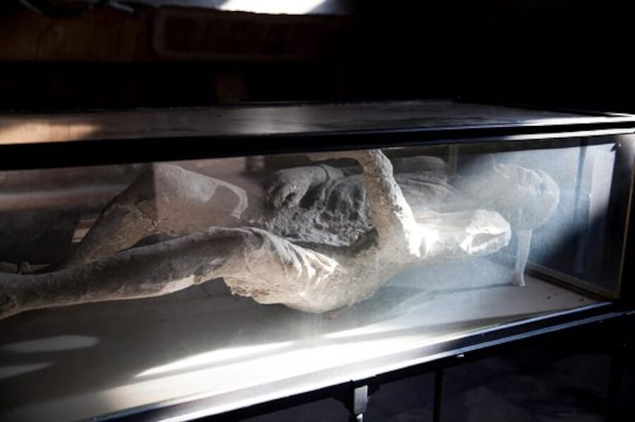 Pompeii: Skip-the-Line Guided Tour with Expert Archaeologist - The Forum, temples, and streets of Roman Pompeii