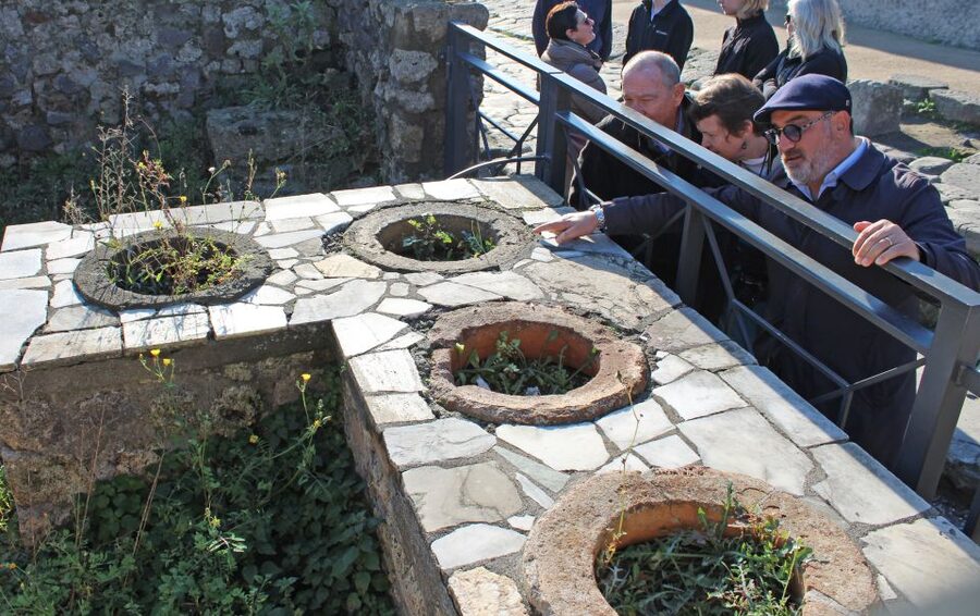 Pompeii: Skip-the-Line Tickets and Tour with Archaeologist - What you can do after the guided route