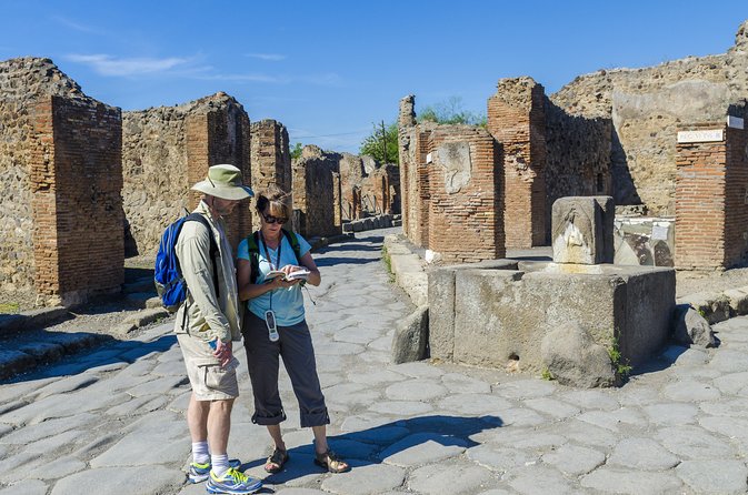 Pompeii: Small Group Tour with an Archaeologist - Frescoes, mosaics, and plaster casts