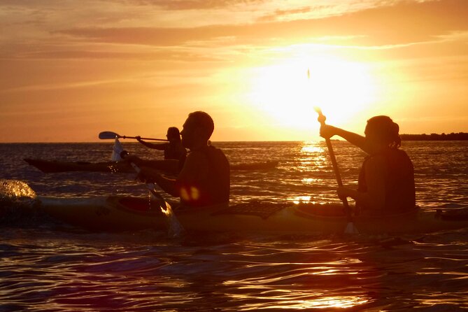 Porto Selvaggio kayak tour + cliff diving + cold spring immersion - Key points at a glance