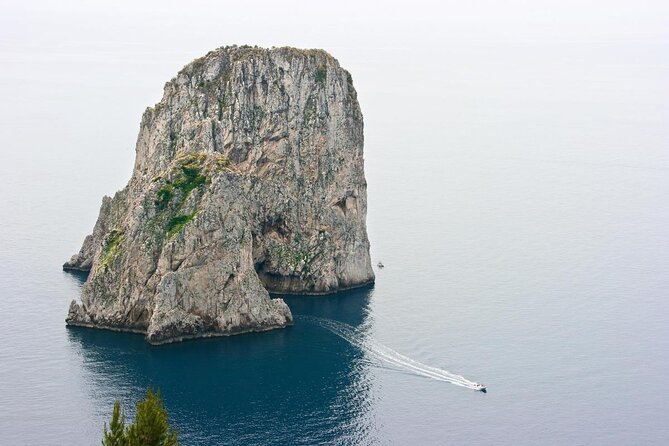 Private Island of Capri by Boat - Key points before you book