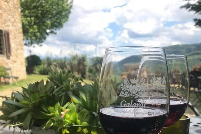 Private Self-Guided E-Bike Ride in Tuscany with Vineyard Visit - The vineyard stop at Poggiopiano