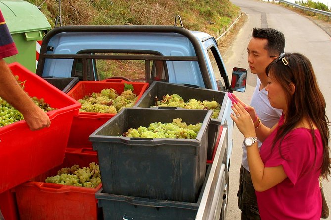 Private Tour to Cinque Terre from Florence - What the guide adds beyond driving