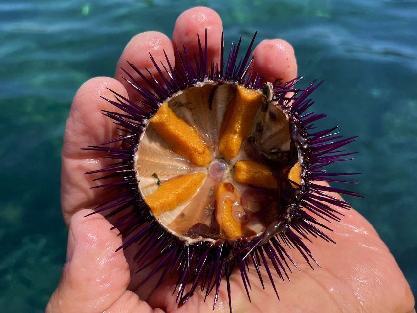 Procida: Boat Tour with Swimming Stops and Underwater Photos - Coves, cliffs, and the Cave of the Sea Ox