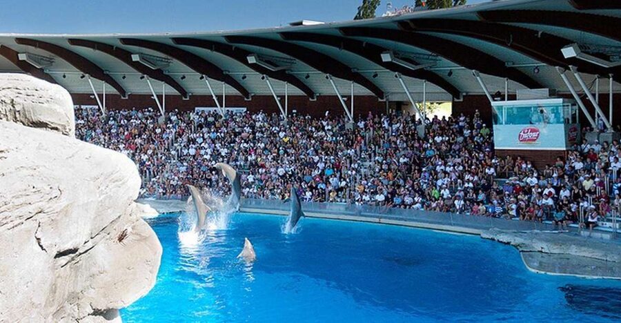 Riccione: Oltremare Park Entrance Ticket - Birds of prey and the outdoor shows
