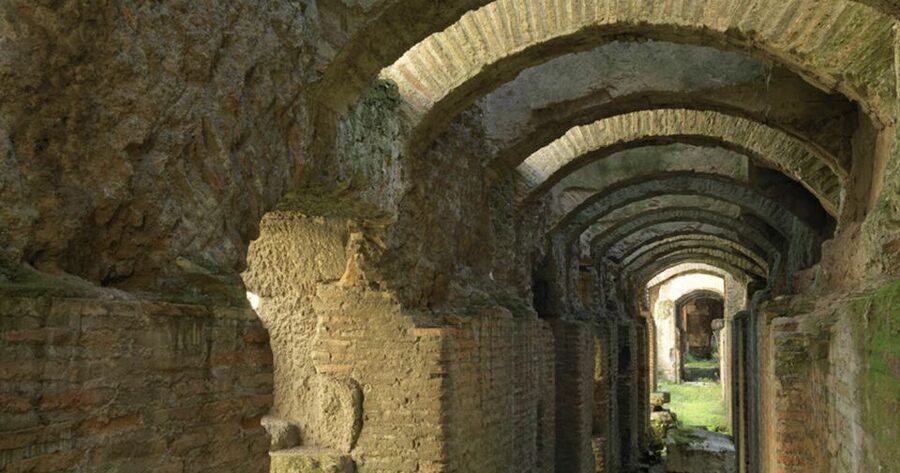 Rome: Ancient History and Colosseum Underground Tour - Entering Through the Separate Colosseum Entrance