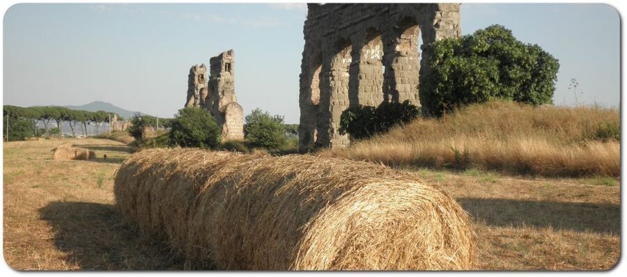 Rome: Appian Way E-Bike Tour Catacombs, Aqueducts & Picnic - Riding the Original Appian Way
