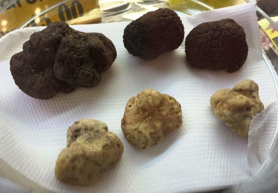 Rome: Award-Winning Roman Food Tours - Who will enjoy this Rome food tour