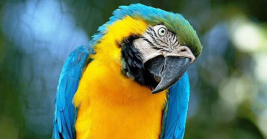 Rome: Bioparco di Roma Zoological Garden Entry Ticket - How long should you allow?