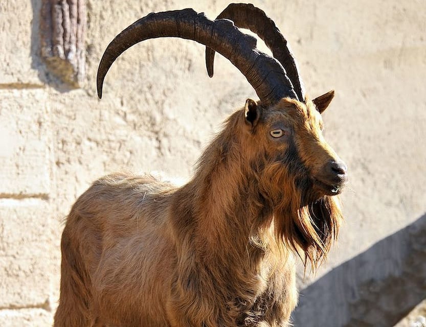 Rome: Bioparco di Roma Zoological Garden Entry Ticket - Is $25 good value?
