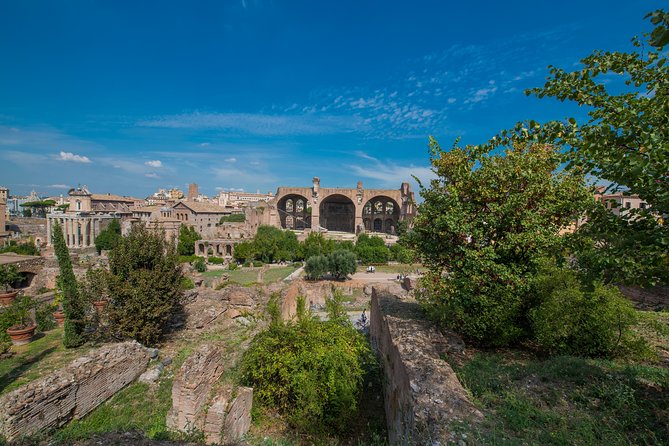 Rome: Colosseum Arena, Roman Forum & Palatine Hill Tour - A three-hour schedule that can run longer