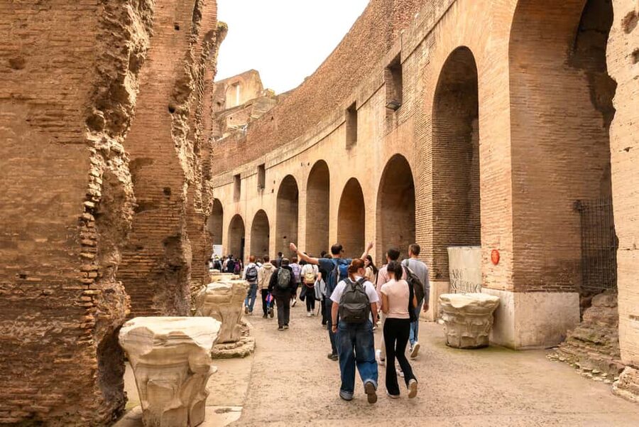 Rome: Colosseum, Forum, and Palatine Tour - Price, pace, and overall value