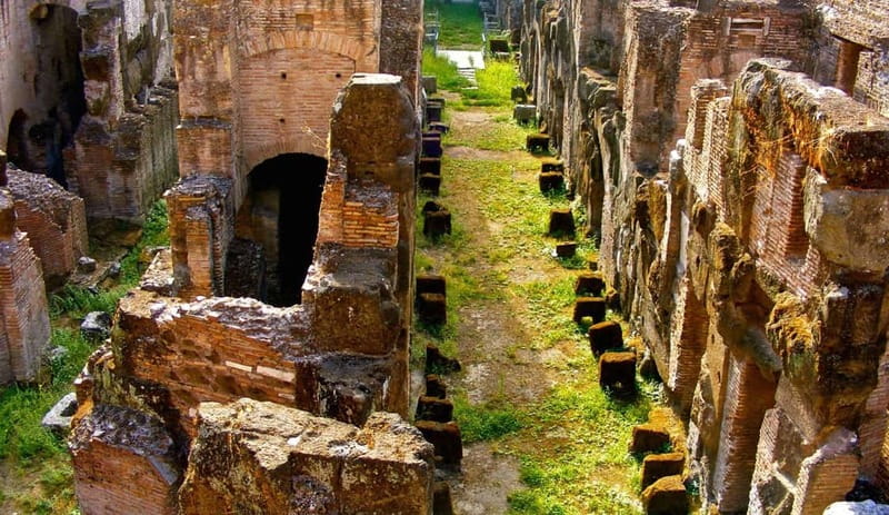 Rome: Colosseum Gladiator's Arena and Roman Forum Tour - Who should book this Rome tour?