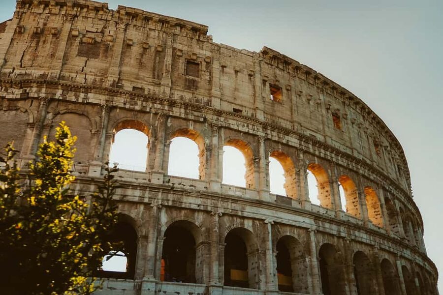 Rome: Colosseum, Palatine Hill, and Forum Guided Experience - Your extra time inside the amphitheater