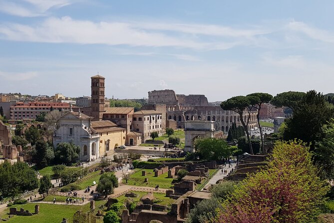 Rome: Colosseum, Palatine Hill and Roman Forum Guided Tour - What the guide adds to the experience