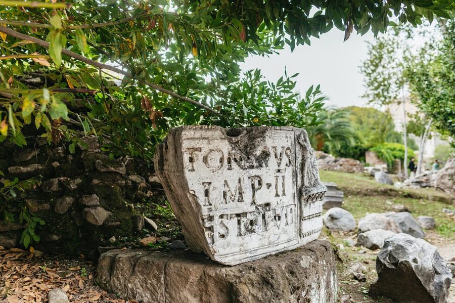 Rome: Colosseum, Palatine Hill & Roman Forum Guided Tour - Walking through the Roman Forum