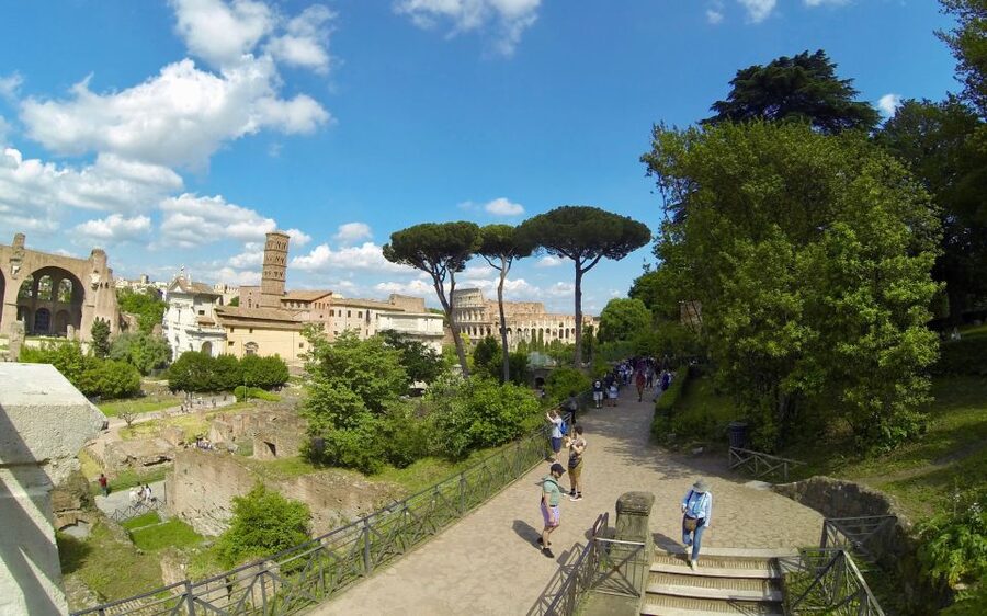 Rome: Colosseum, Roman Forum, and Palatine Hill Tour - How the timing and route work