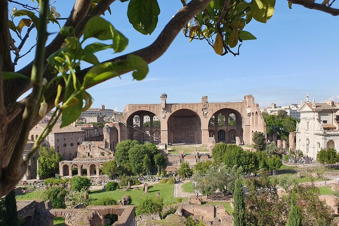 Rome: Colosseum, Roman Forum & Palatine Hill Experience - Palatine Hill and Rome’s best views