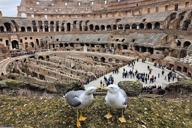 Rome: Colosseum, Roman Forum & Palatine Hill Visit + Audio Guide - Using the audio guide app