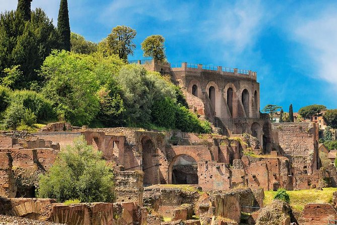 Rome: Colosseum, Roman Forum & Palatine Hill Visit + Audio Guide - Climbing Palatine Hill for the views
