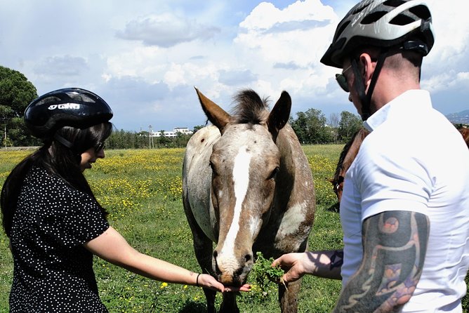 Rome EBike Tour: Appian Way, Catacombs & Roman Aqueducts - Practical details before you reserve