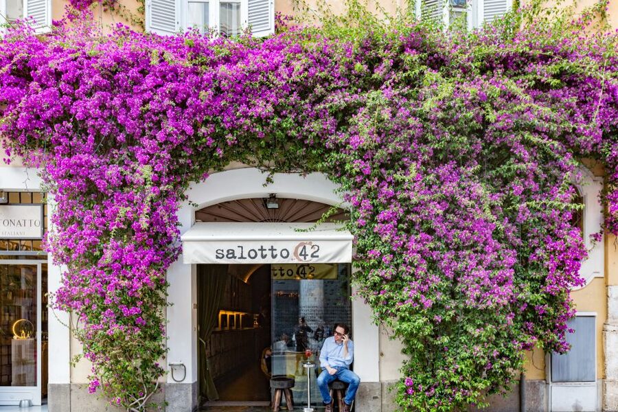 Rome: Fountains and Squares Small-Group Walking Tour - Key points to know before booking