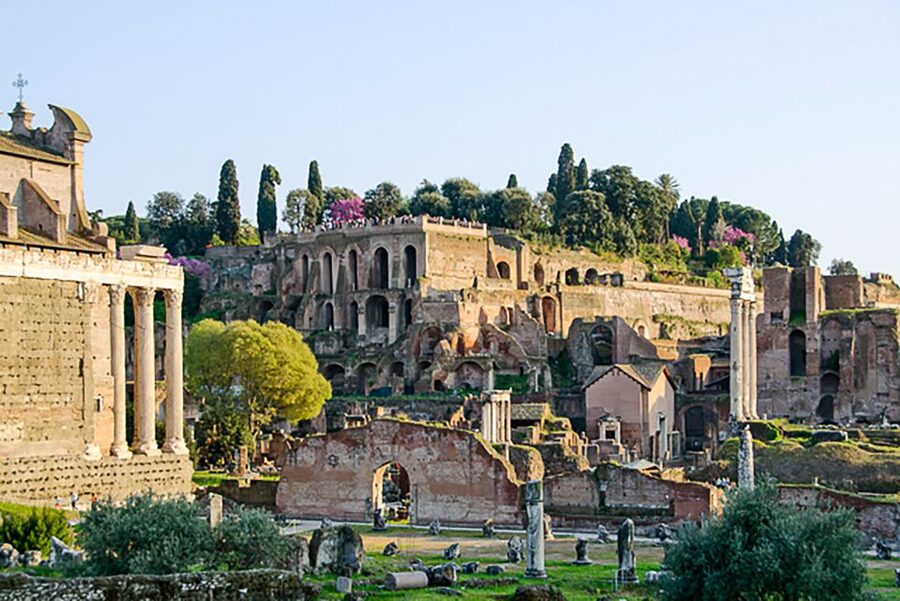 Rome: Guided Tour of Colosseum, Roman Forum & Palatine Hill - Entering the Colosseum for a one-hour guided visit