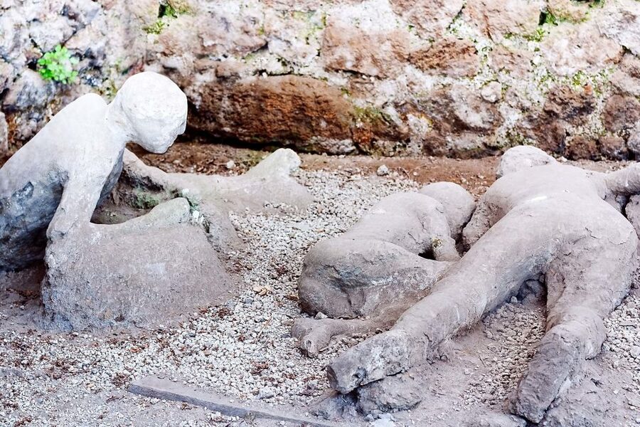 Rome: Pompeii and Naples Day Trip with Pompeii Entry Ticket - Who should book this day trip?