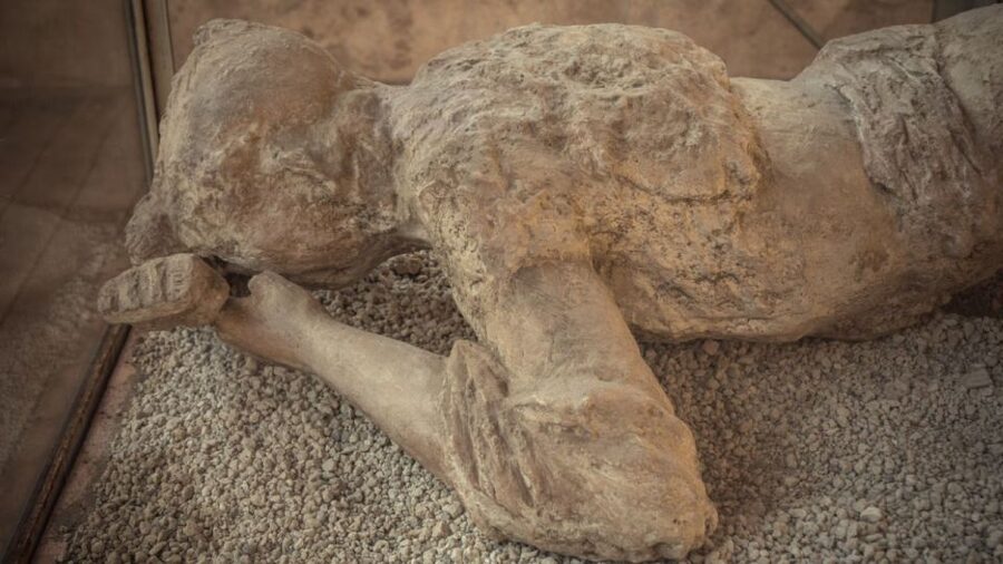 Rome: Pompeii Tour with Wine and Lunch by High Speed Train - Key points to know before you book