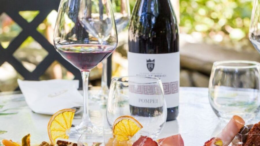 Rome: Pompeii Tour with Wine and Lunch by High Speed Train - Why the high-speed train makes Pompeii realistic from Rome
