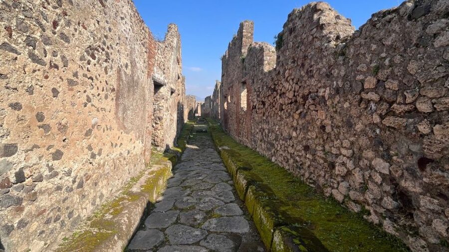 Rome: Pompeii Tour with Wine and Lunch by High Speed Train - Heat, footwear, and the level of effort