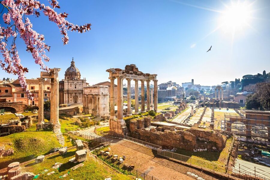 Rome: Roman Forum and Palatine Hill Licensed Guided Tour - Who should book this Forum and Palatine Hill tour?