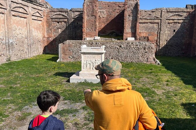 Rome to Pompeii Guided Tour with Wine & Lunch by High Speed Train - Group size, walking, and the rhythm of the day