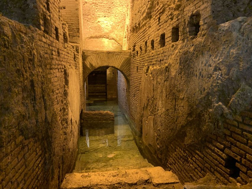 Rome: Trevi Fountain District Underground Domus Guided Tour - The final stop at the Trevi Fountain