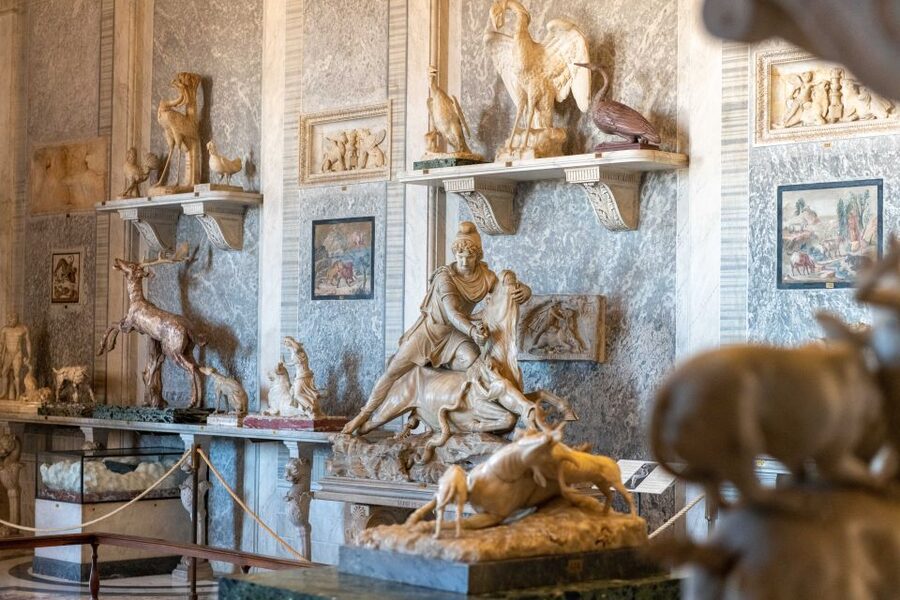 Rome: Vatican Museums, Sistine Chapel, and Basilica Tour - St. Peter’s Basilica and Michelangelo’s Pietà