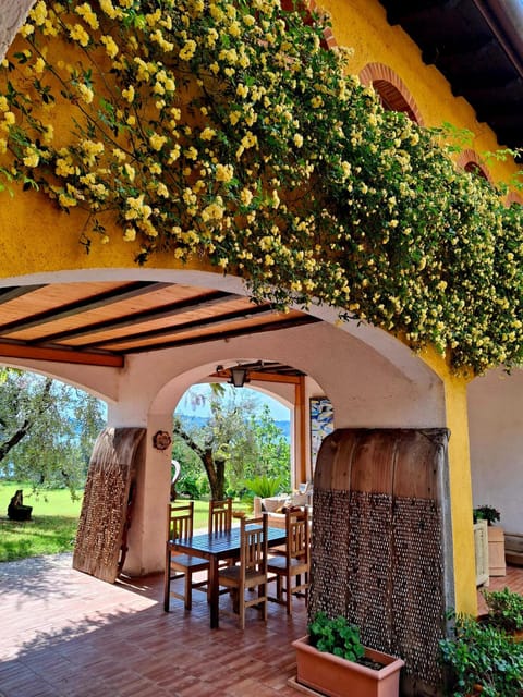 San Felice: Olive Oil Tasting with local food on Garda Hills - The olive grove and the view toward Rocca di Manerba